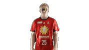 Handball Tusn Sticker by tusnluebbecke