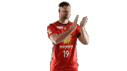 Handball Tusn Sticker by tusnluebbecke