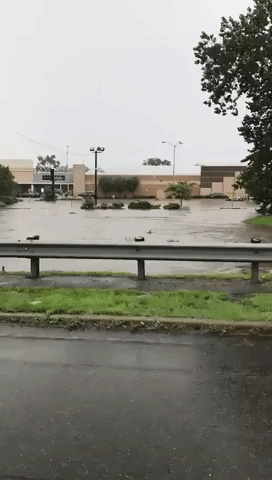 Flooding Swamps Cars at Little Falls, New Jersey, Mall