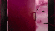 Freaky Deaky Cats GIF by EMPIRE