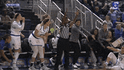 Gojays GIF by Creighton University Athletics