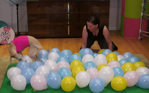 Balloon Lol GIF by The Tonight Show Starring Jimmy Fallon