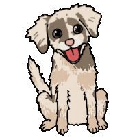 Border Collie Dog Sticker