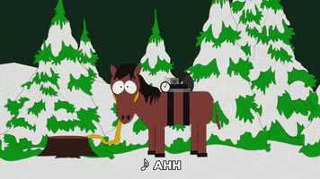 horse suicide bomber GIF by South Park 
