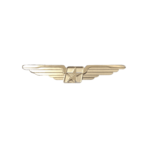 First Officer Wings Sticker by Ameriflight