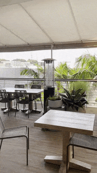 GIF by Shine Studio RB