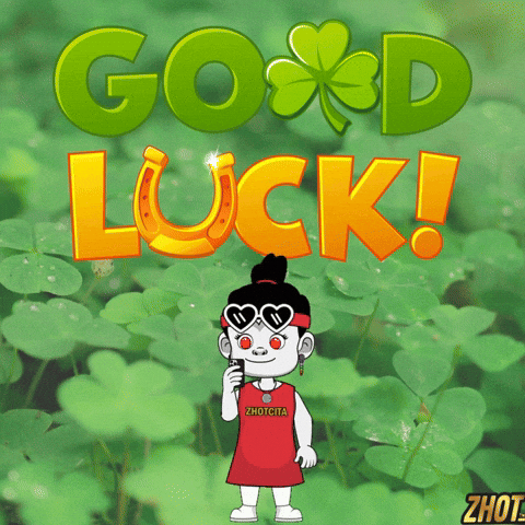 Best Of Luck GIF by Zhotcita