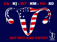 American Flag Vote GIF by Abortion Access Front