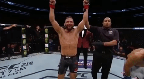 jeremy stephens ufc GIF