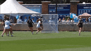 University Of North Carolina Ncaa GIF by UNC Tar Heels
