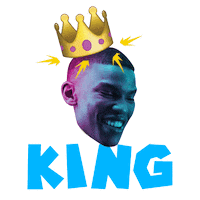 King Kb Sticker by NETFLIX