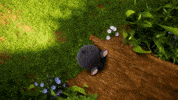 Spring Pass Out GIF by Pokémon