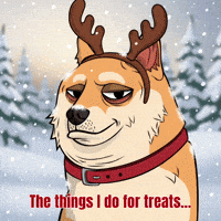 Christmas Snow GIF by Doge Pound