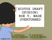 Bob's Burgers gif. Tina Belcher attempts to hang a sheet of paper that reads, "S-C-O-T-U-S draft opinion: Roe versus Wade overturned," on the wall. Standing by, Louise Belcher instructs Tina to keep lowering the paper, saying, "Lower, lower."