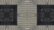 Art Film GIF by jorgemariozuleta