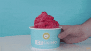 Ice Cream Photo GIF by Rowlbertos Media