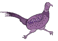 Summer Camp Pheasant Sticker by Rock City Church