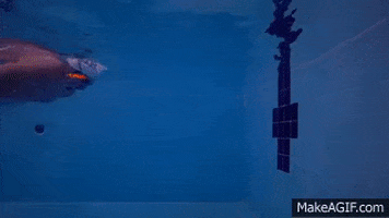 skillsnt giphyupload GIF