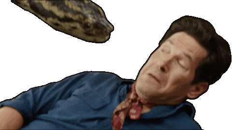 Sticker Anaconda Sticker by Sony Pictures Germany