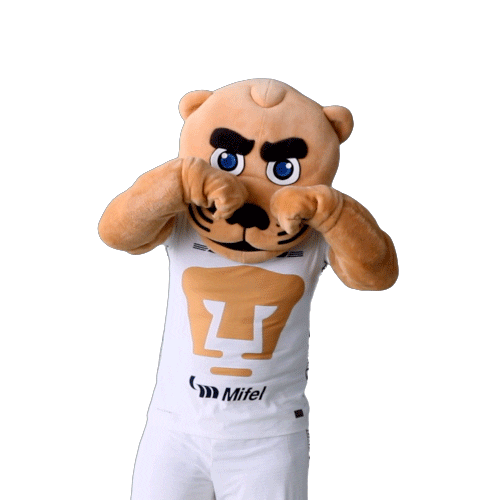 Soccer Crying Sticker by Pumas MX