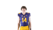 Ncaa Football Go Bears Sticker by Cal Athletics