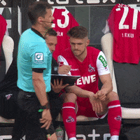 1 Fc Cologne Football GIF by 1. FC Köln