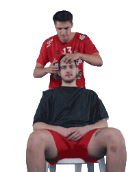 Wilhelmshaven Whv Sticker by whvhandball
