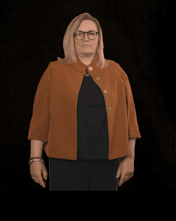 fdpfraktionlsa giphyupload fdplsa ktarricone tarricone GIF