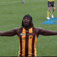 Hawthorn Hawks Afl GIF
