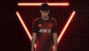 Fortuna Duesseldorf Vbl GIF by Bundesliga