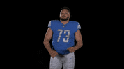 Football Nfl GIF by Detroit Lions