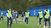 Gers GIF by Rangers Football Club