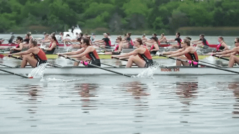 Water Boat GIF by Texas Longhorns
