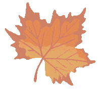 Maple Leaf Tree Sticker