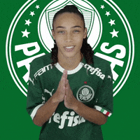 Palmeiras sorriso palmeiras avanti sep GIF