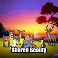 Wisdom Harmony GIF by Chillo Dillo