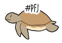 Plasticfreejuly Sticker by Maffick
