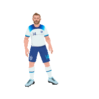 World Cup Football Sticker by Panini America