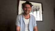 Niall Horan Nova GIF by Smallzy