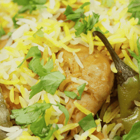 Rice GIF