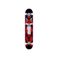 Fun Skating Sticker by A Reason To Feel