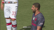 Sl Benfica Clap GIF by Sport Lisboa e Benfica