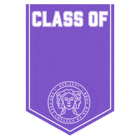 City College Sticker by The City College of New York