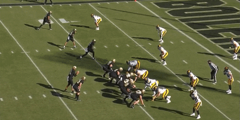 theriotreport giphyupload GIF