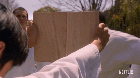 Cobra Kai Karate GIF by NETFLIX