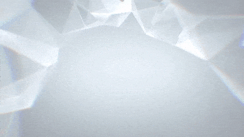 BG WHITE