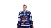 Ziegler Dietz Sticker by Iserlohn Roosters