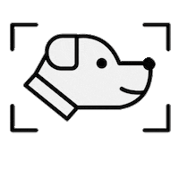 cats dogs Sticker by Barklyshop