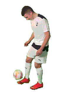 Romano Sticker by Football Leverage