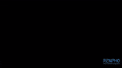 Germany Fitness GIF by RENPHO